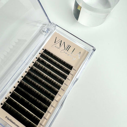 Volume Lash Trays